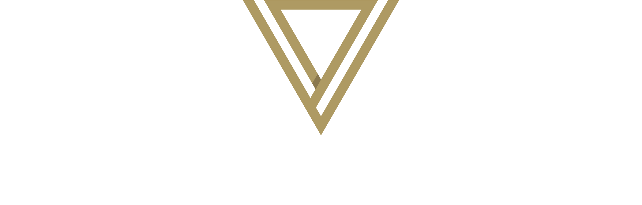 ORVEO logo